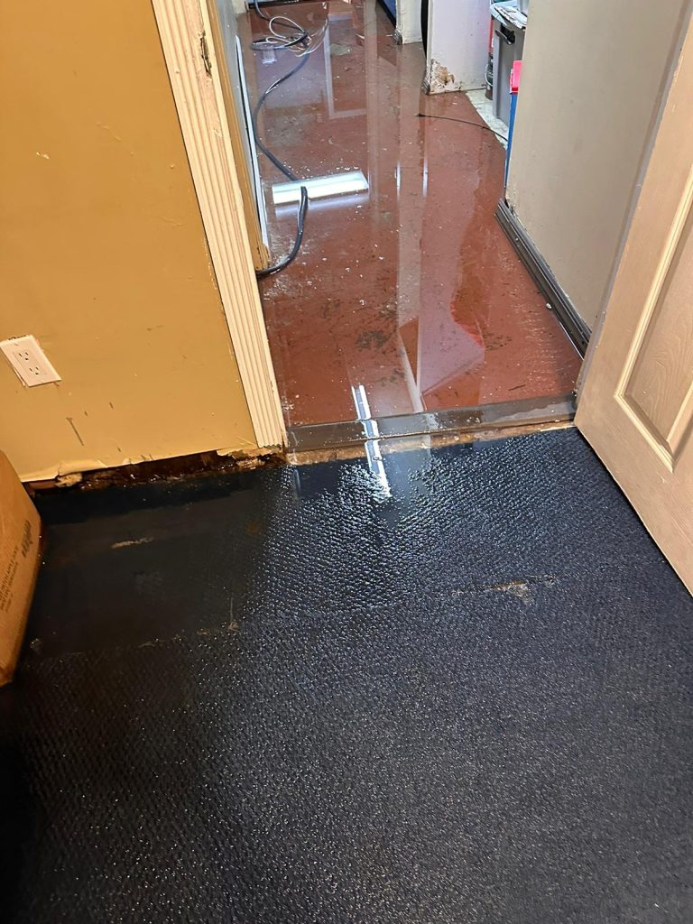 All Star Restoration Sewage Cleanup (5)