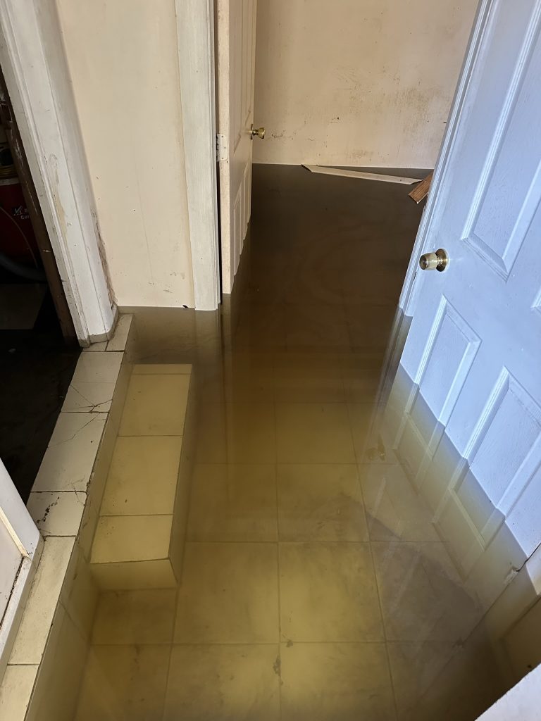 All Star Restoration - Sanitization & Decontamination (6)